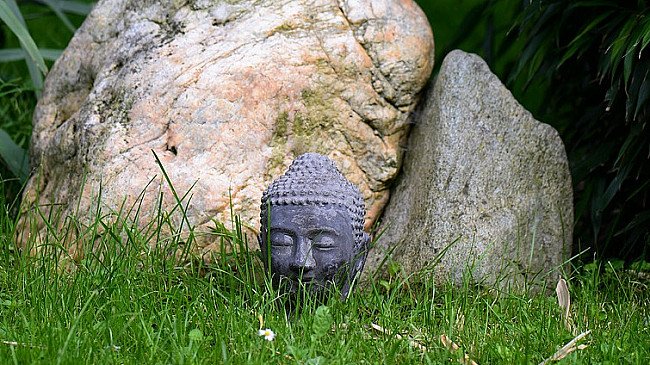 buddha heads under ground