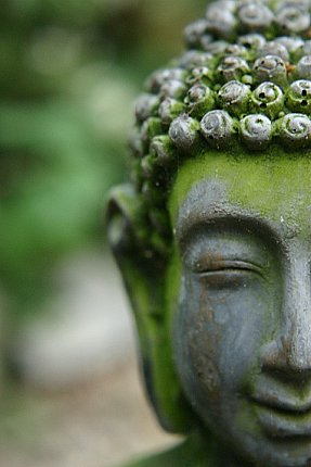 Buddha statue