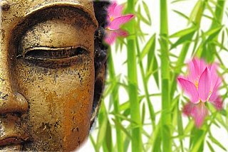 Buddha Heads