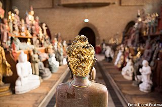 Buddha head statues