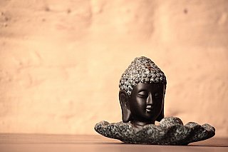 Buddha head statues