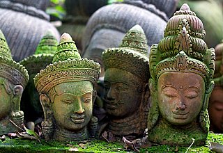 Buddha head statues